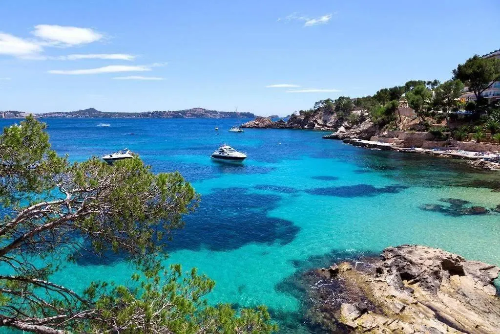 Villa Alexandria Cala San Vicente 300M From The Beach Spanje